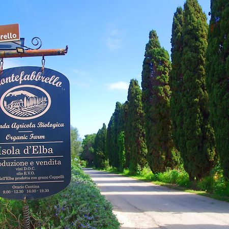 Agriturismo Montefabbrello Magazzini  Екстериор снимка