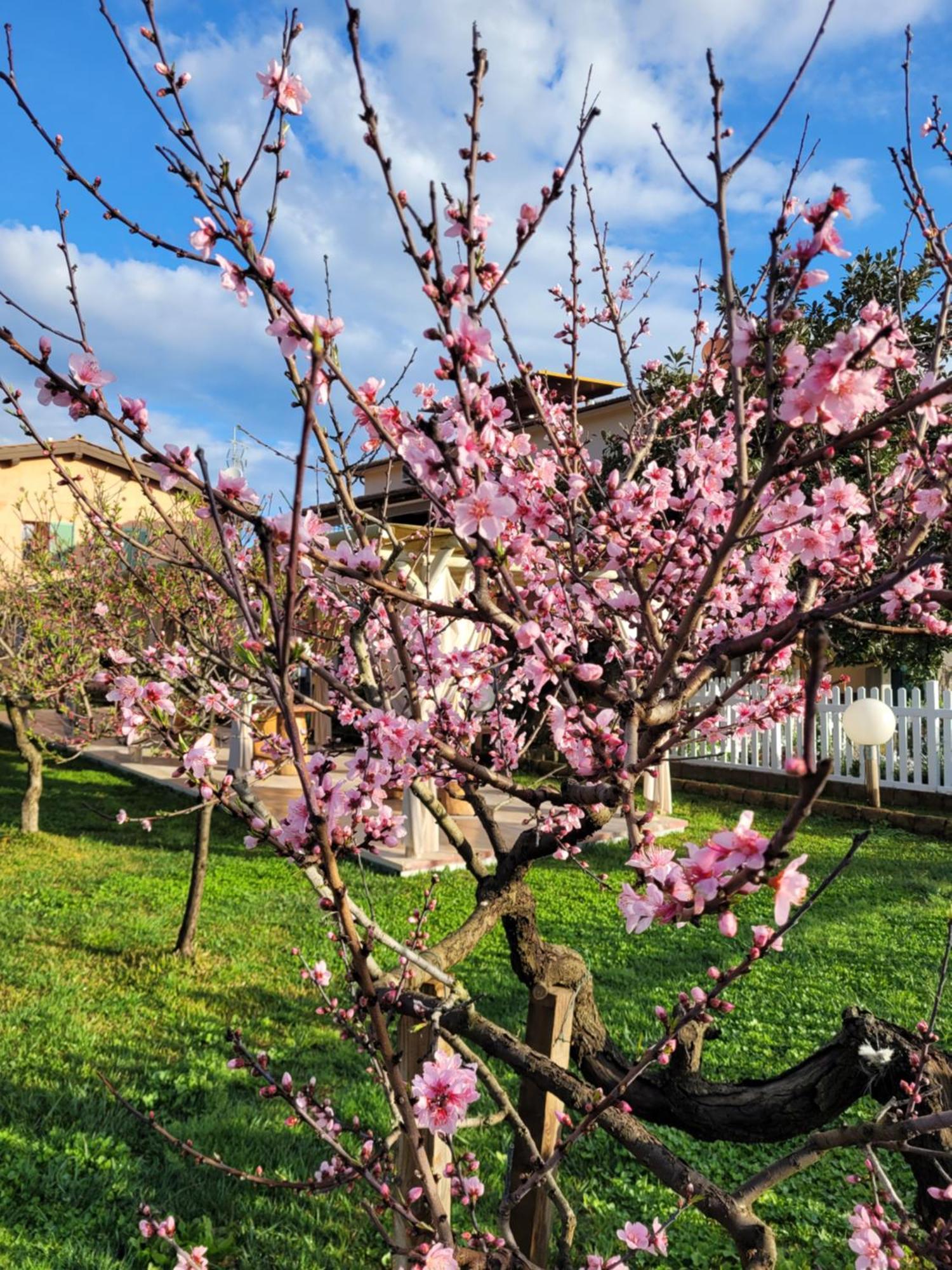 Agriturismo Montefabbrello Magazzini  Екстериор снимка